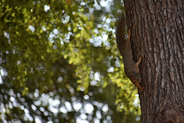 的马利克 的马利克