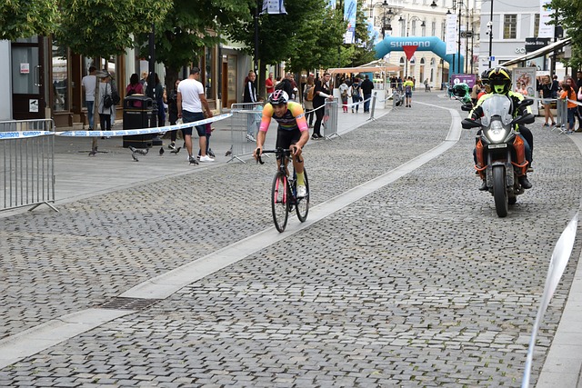 平的竞争力 平的竞争力