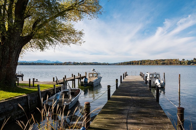 协作和顽强 协作和顽强