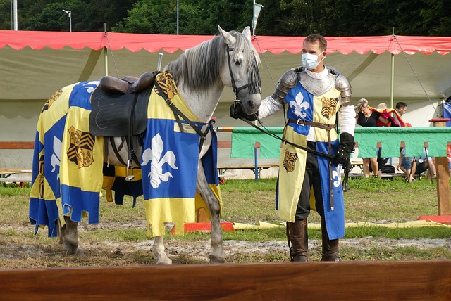 巴黎球王 巴黎球王