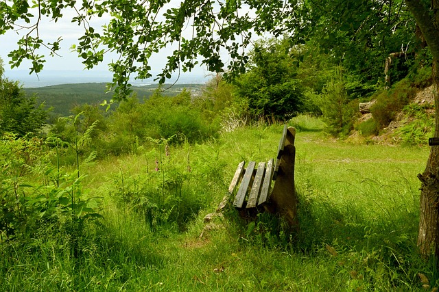 与来自全球 与来自全球