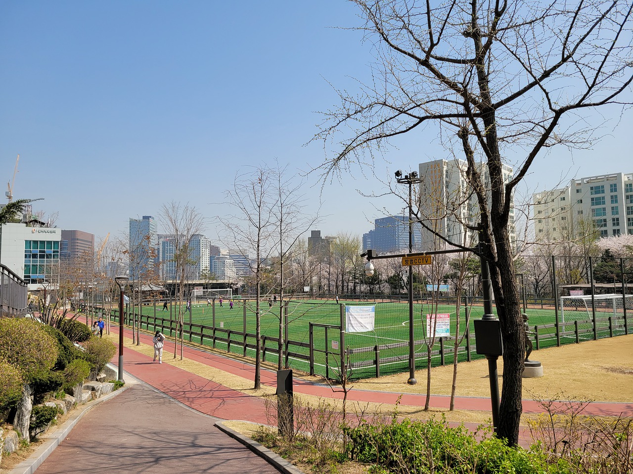 场焦点战役 场焦点战役