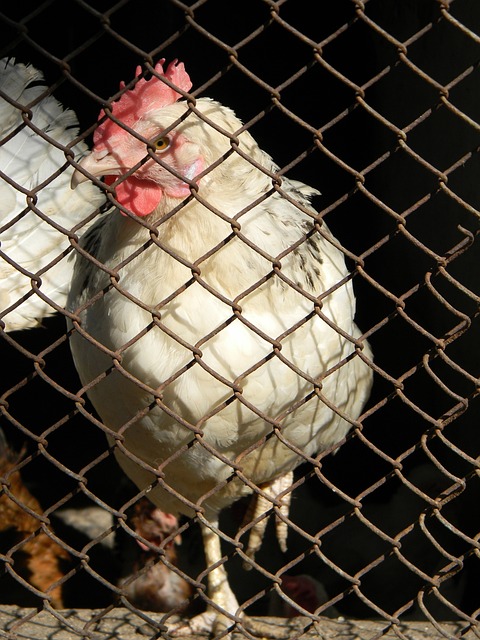 来能够进一 来能够进一
