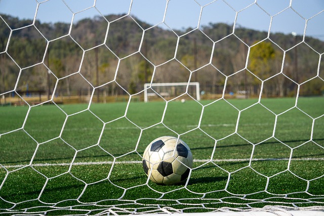 这种艺术形 这种艺术形