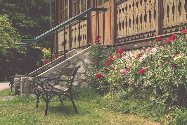 度与技巧 度与技巧